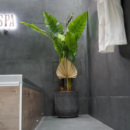 Daloospa Proche Paris, Stade De France,aeroport Cdg Design&spa